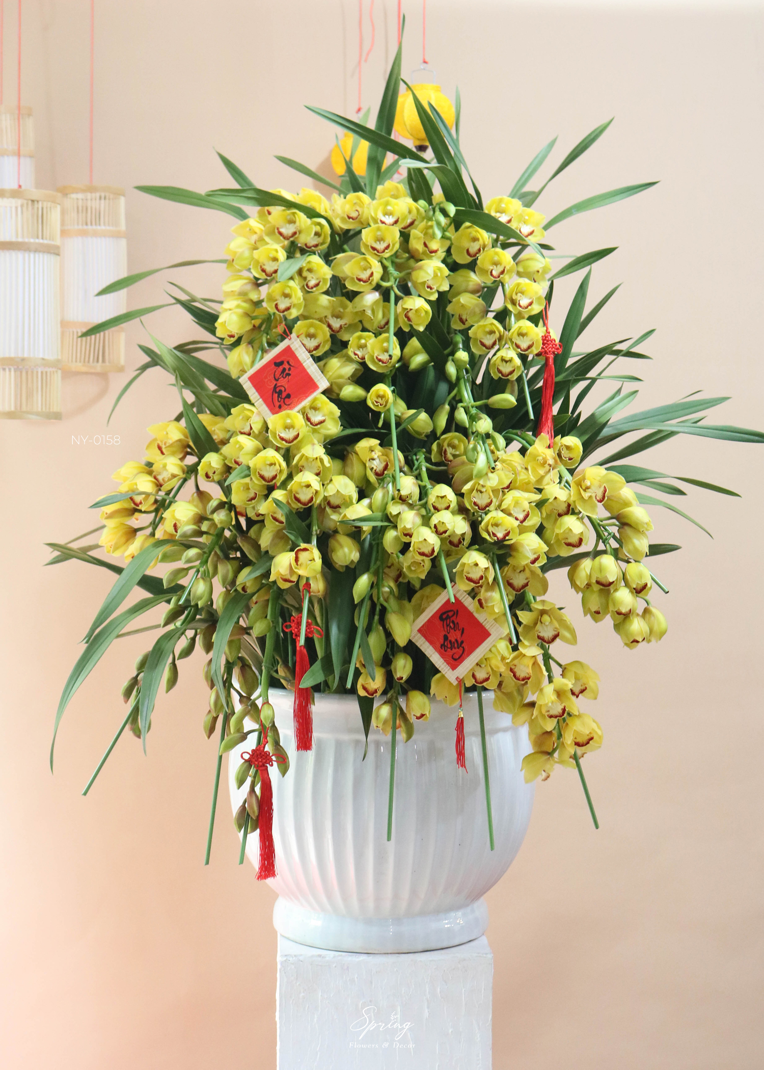 Orchid Design NY 0158