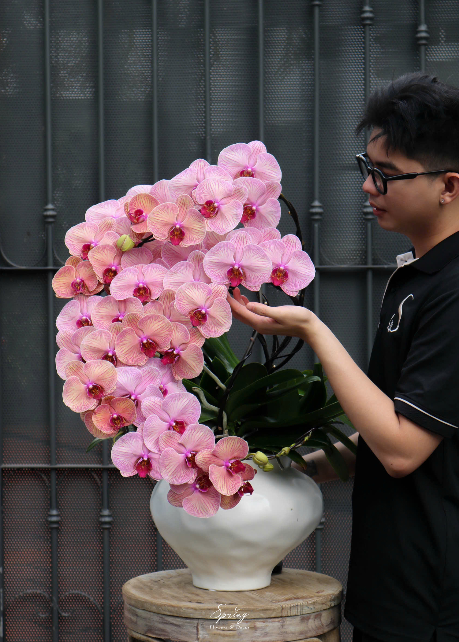 Orchid OR-0996 - Image 2
