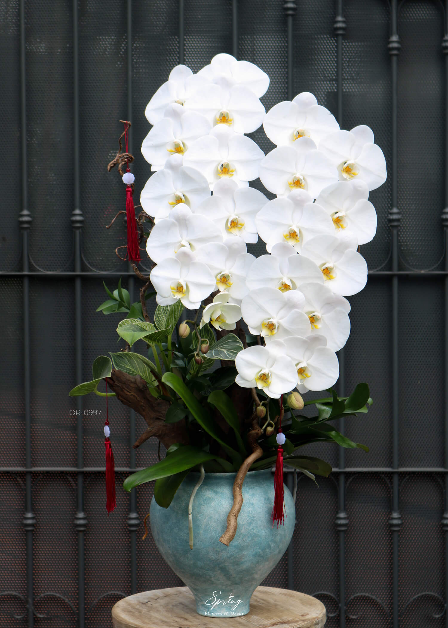 Orchid OR-0997