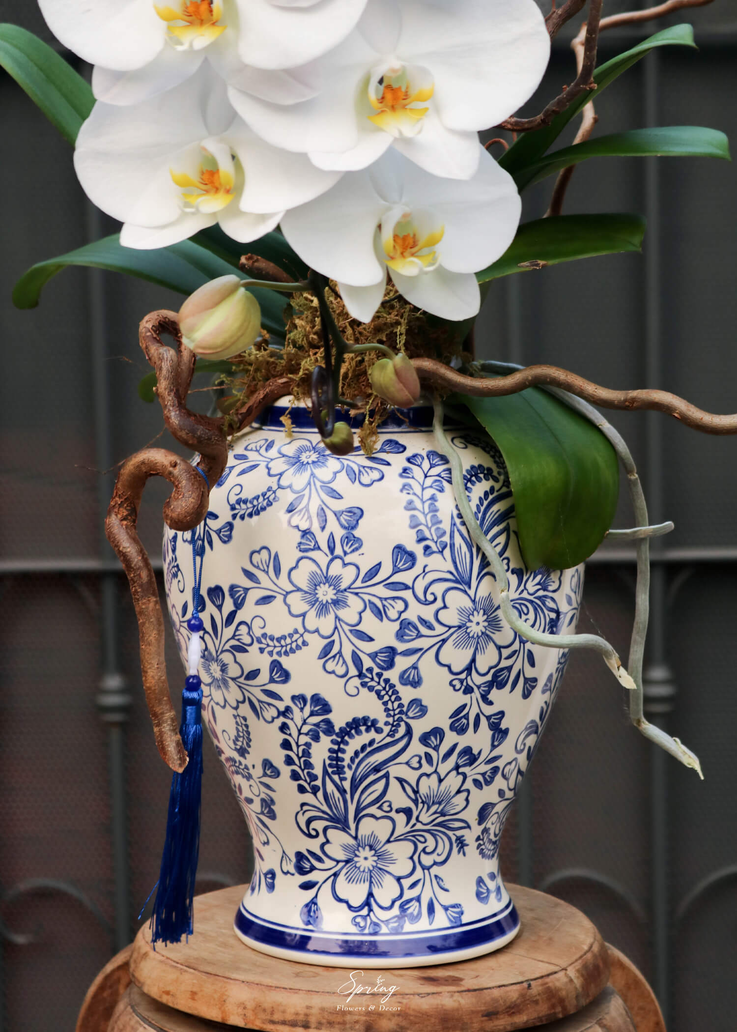 Orchid OR-1000 - Image 3