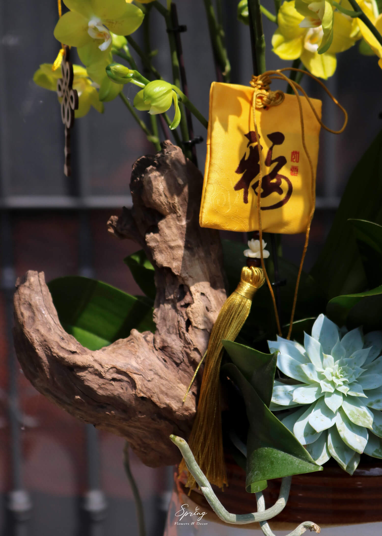 Hoa lan hồ điệp OR-1010 - Image 4