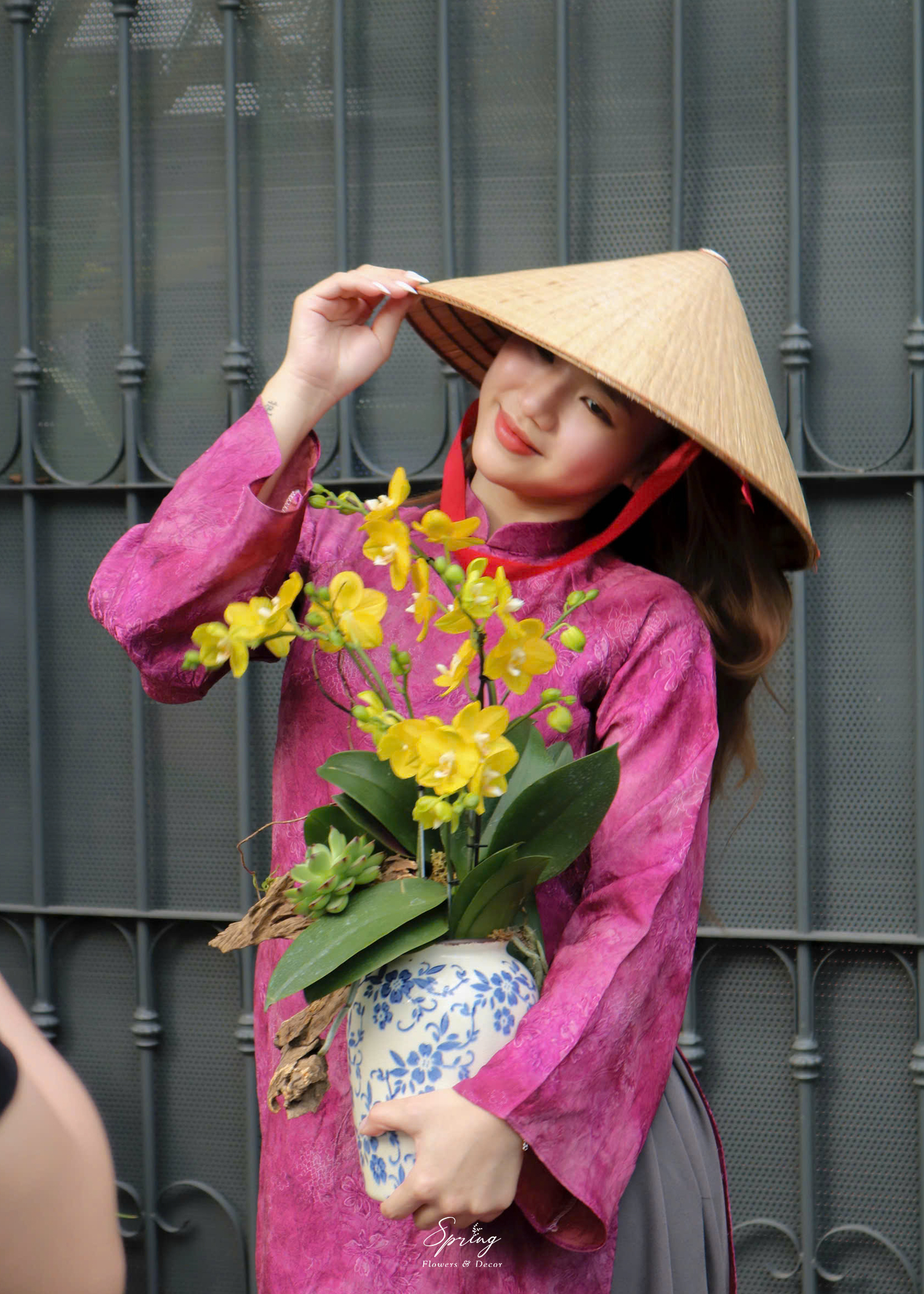 Hoa lan hồ điệp OR-1006 - Image 6
