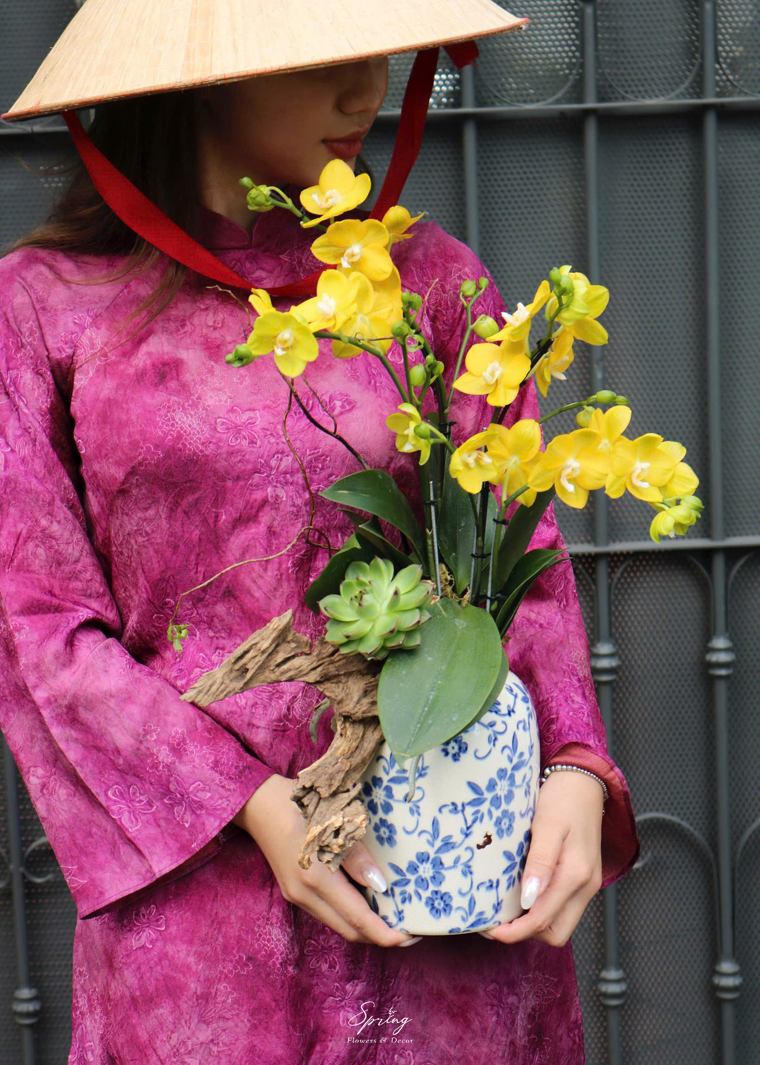 Hoa lan hồ điệp OR-1006 - Image 7