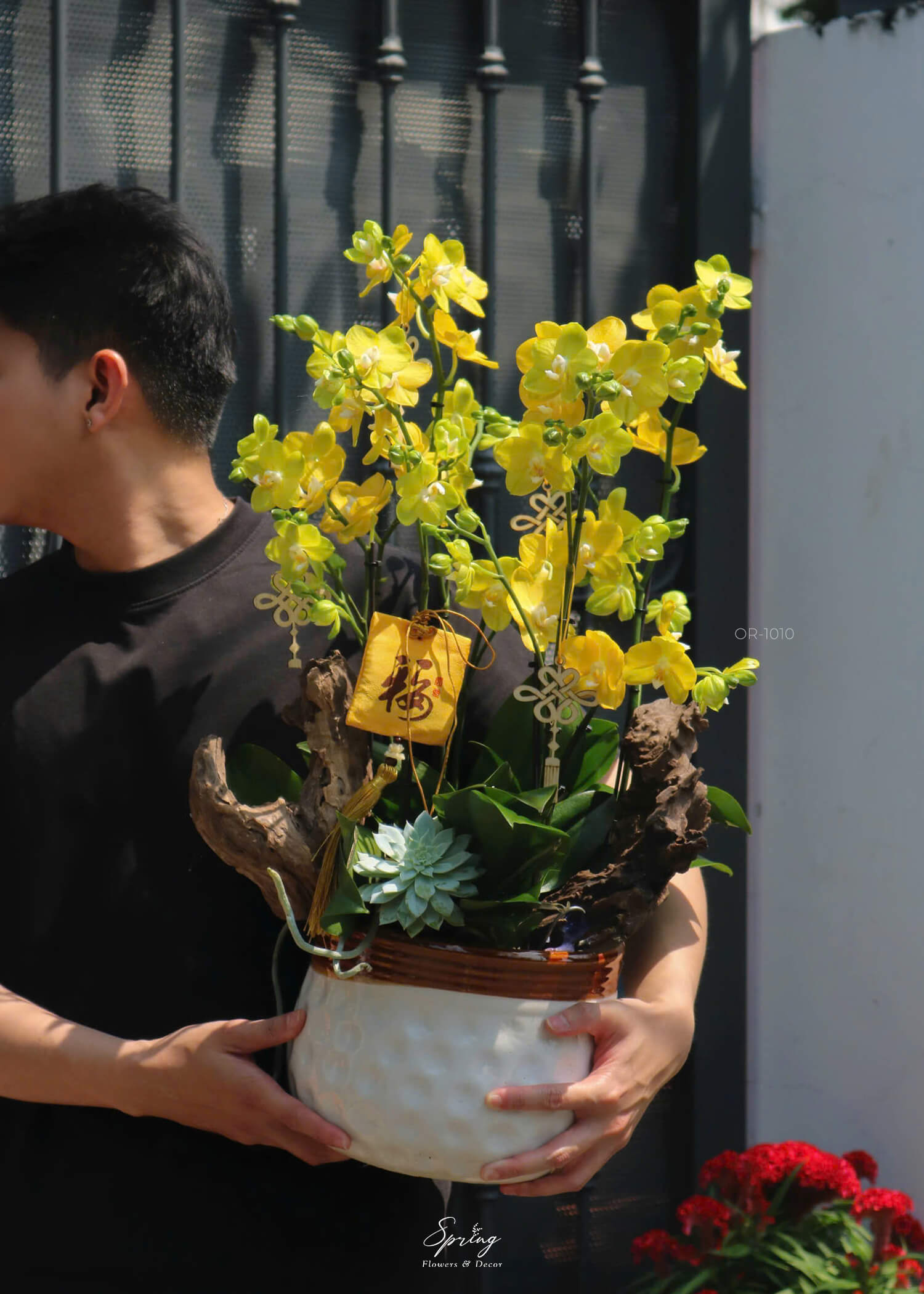 Hoa lan hồ điệp OR-1010 - Image 3