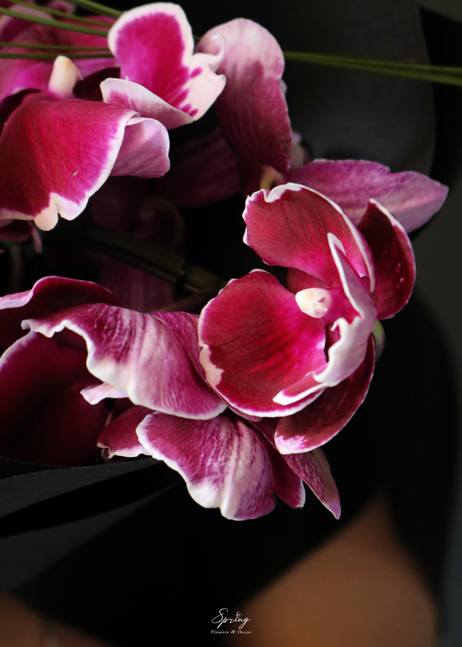 Bouquet BQ-0817 - Image 4