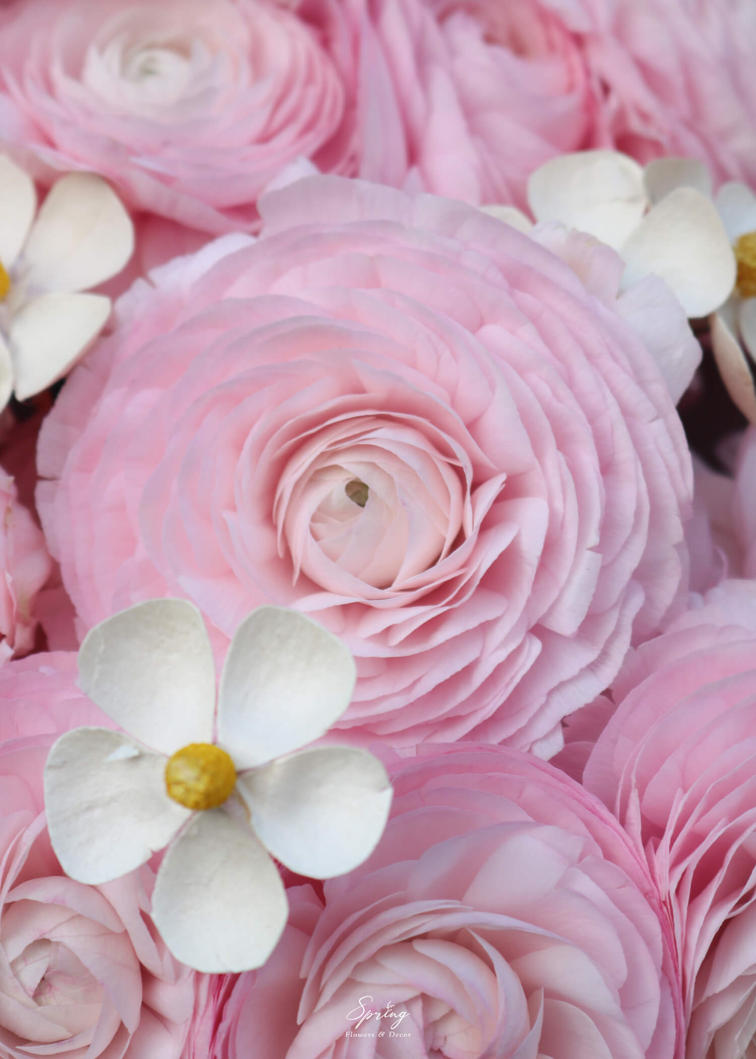 Bouquet BQ-0818 - Image 3