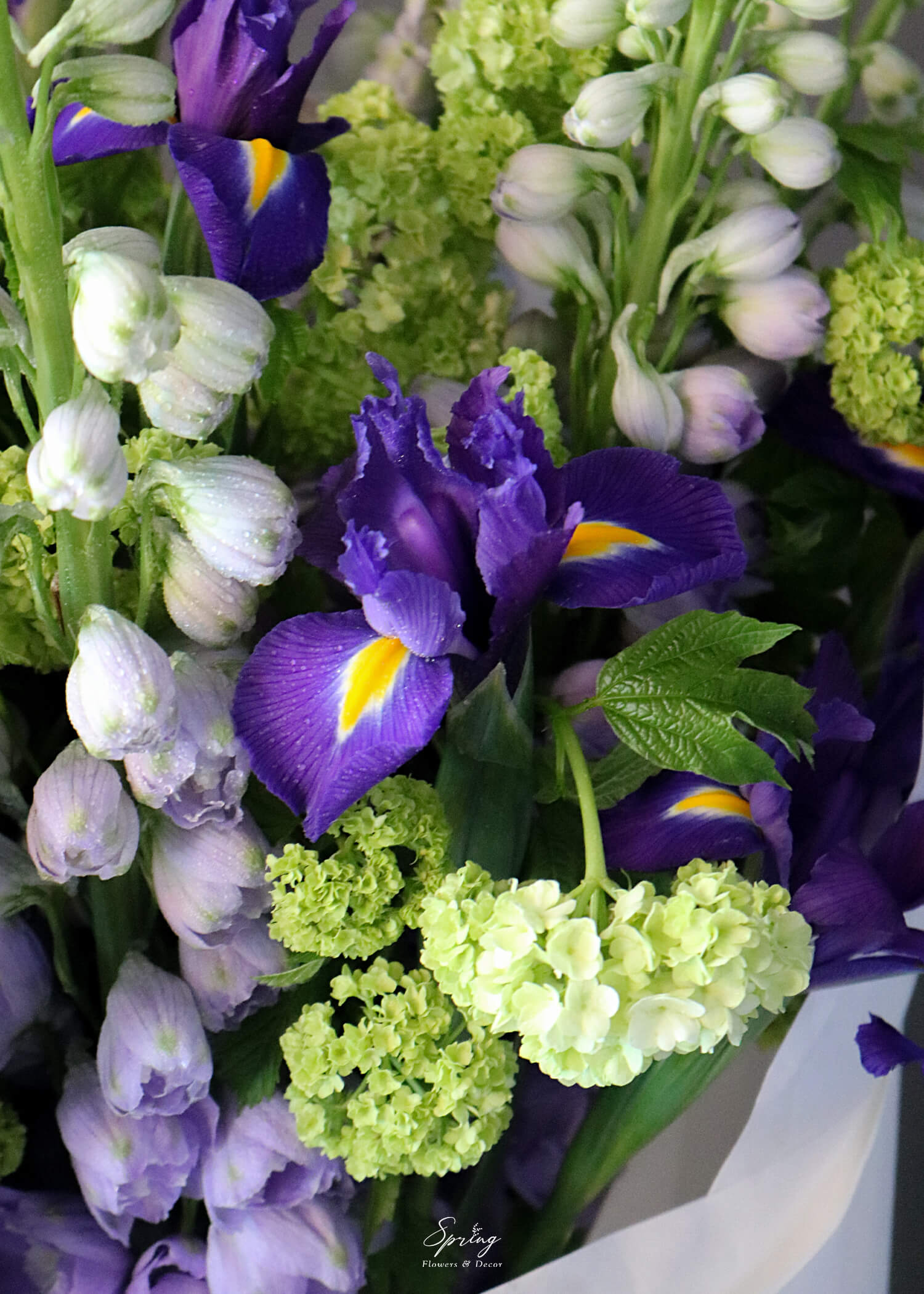 Bouquet BQ-0823 - Image 3