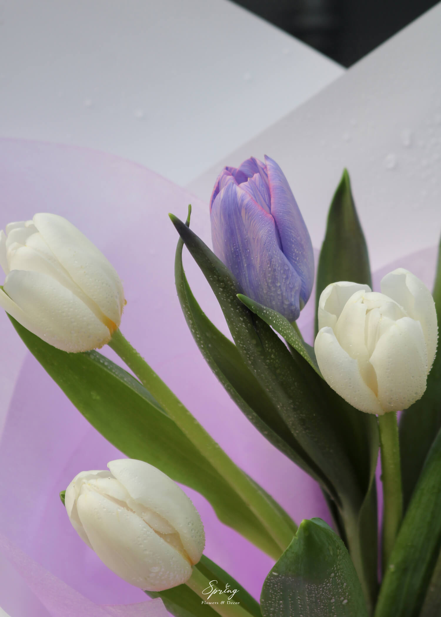 Bó hoa Tulip BQ-0828 - Image 3