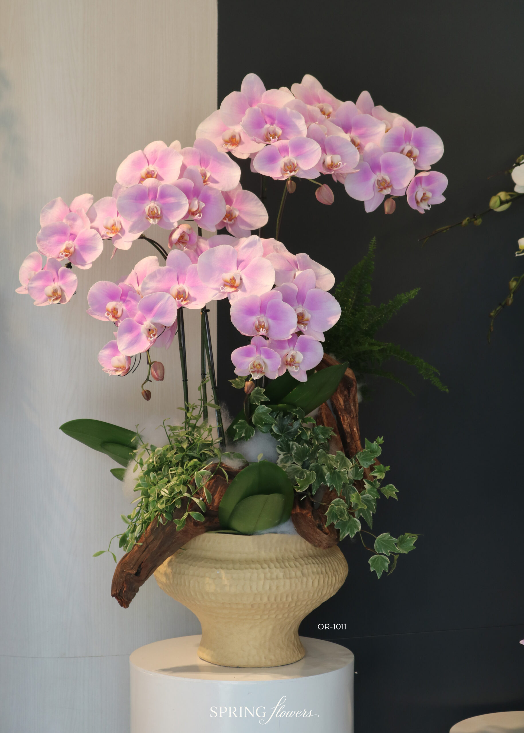 Orchid OR-1011