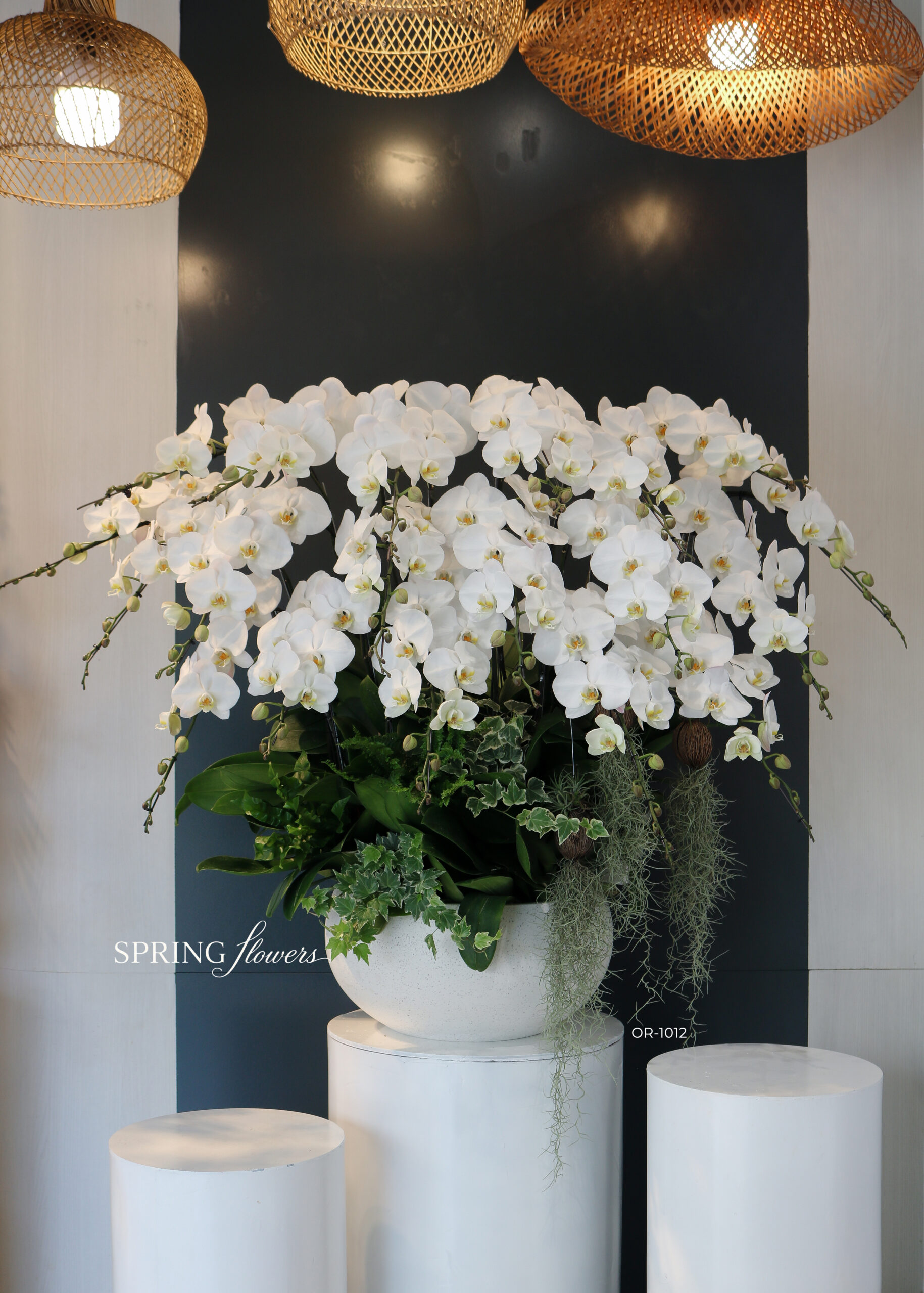 Orchid OR-1012