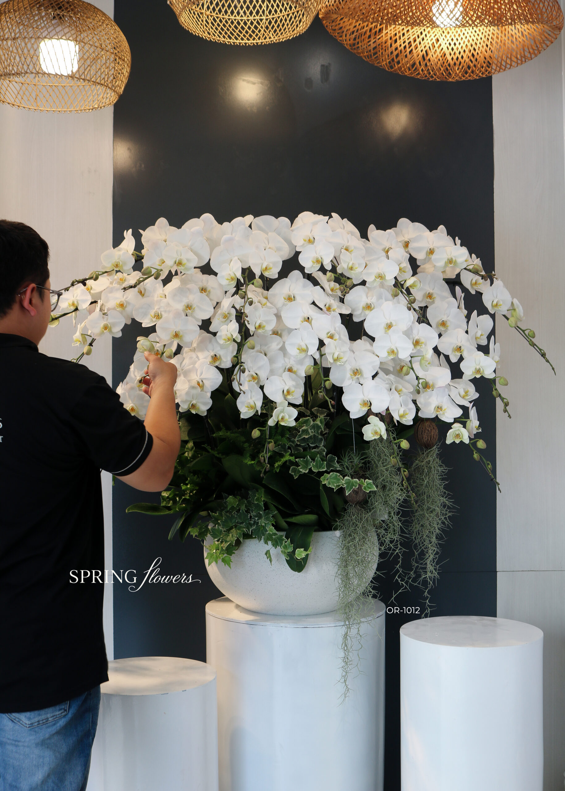 Orchid OR-1012 - Image 2