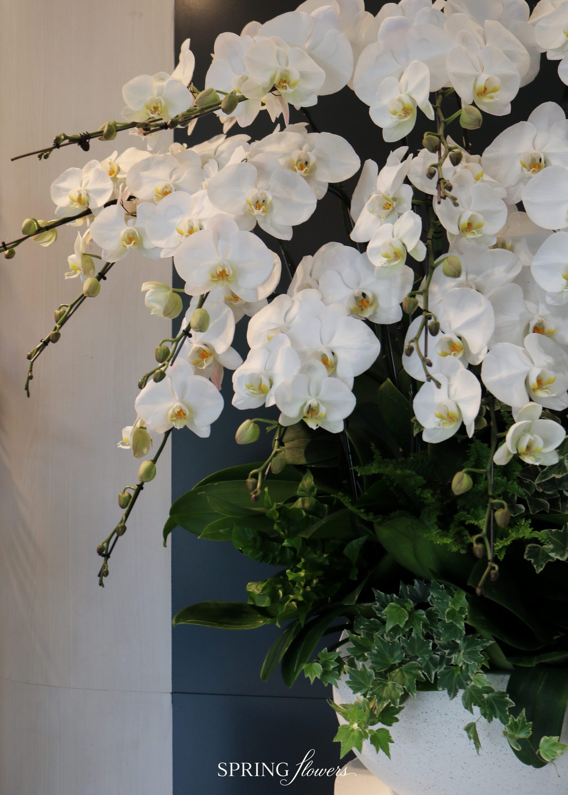 Orchid OR-1012 - Image 3