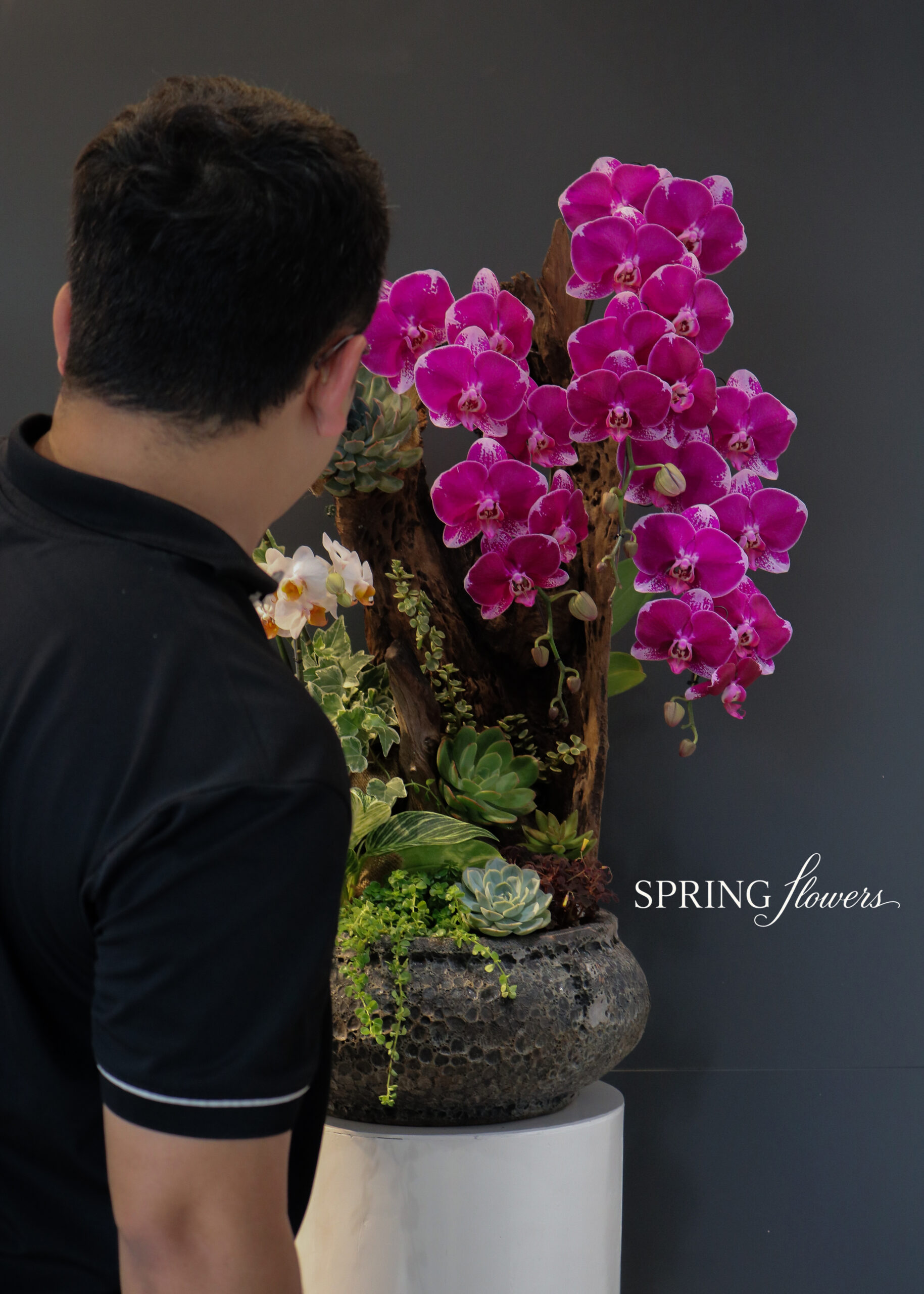 Orchid OR-1013 - Image 2