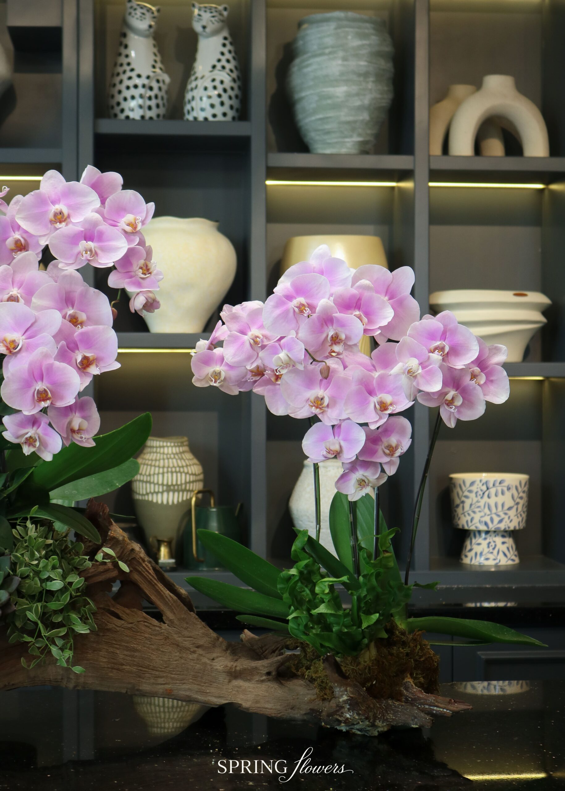 Orchid OR-1014 - Image 3