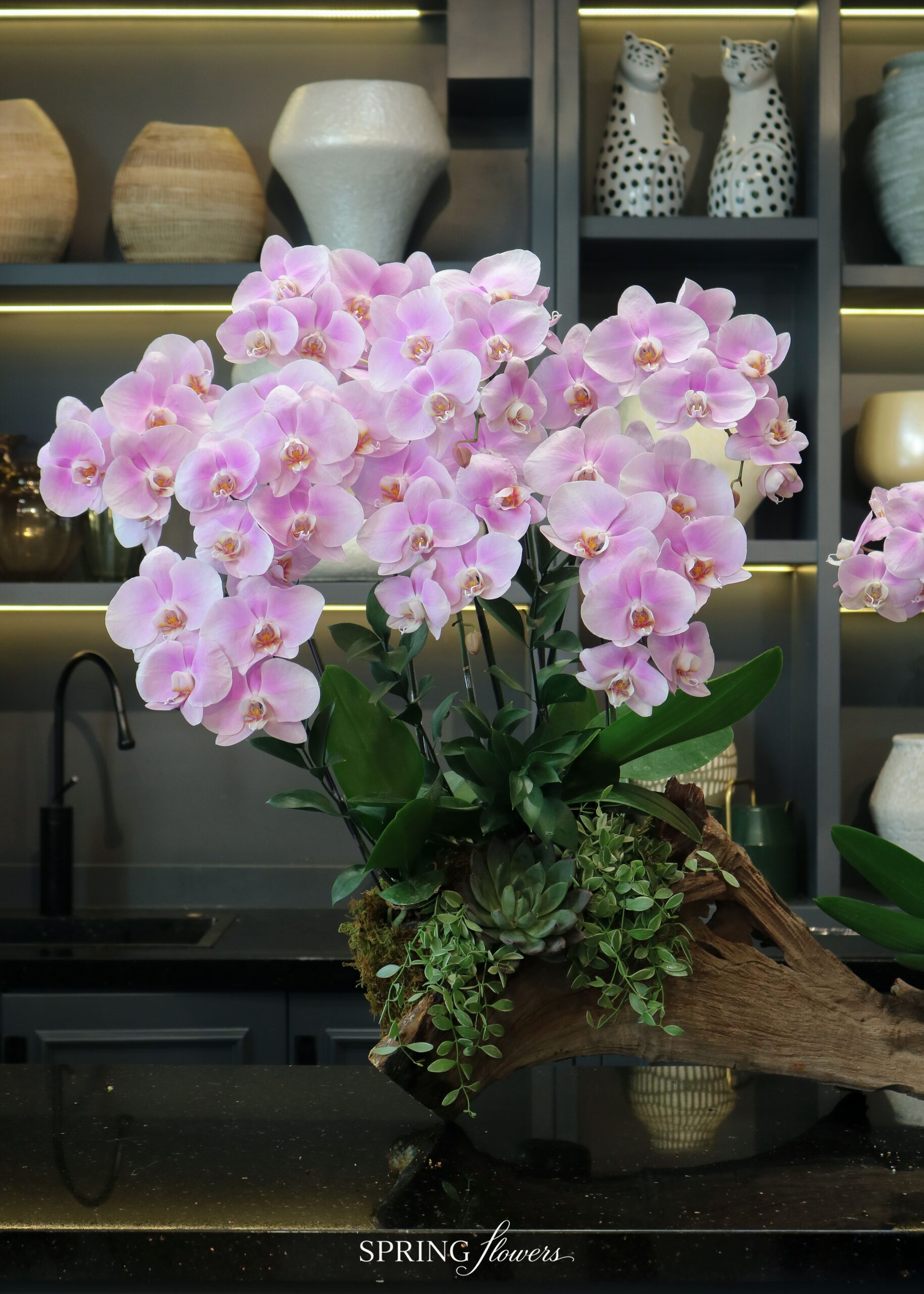 Orchid OR-1014 - Image 4