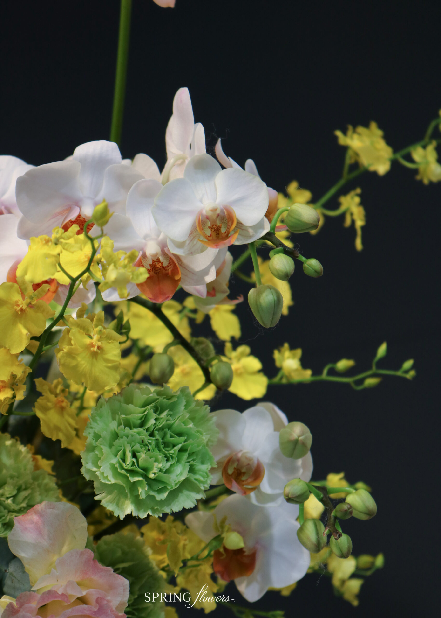 Golden Harmony Vase VS-0219 - Image 4